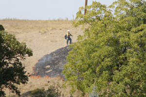 Flaming squirrel ignites grass fire
